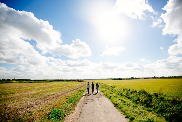 Wandelen